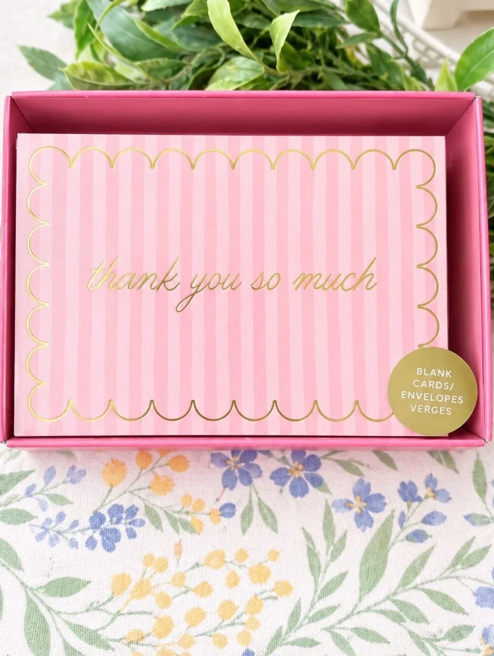Fringe 'Thank You So Much' Note Card Set - Blank Cards & Envelopes